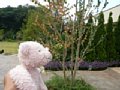 p11918.jpg