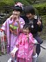 p12101.jpg