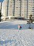 p12208.jpg