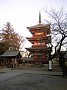 p12288.jpg