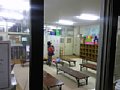 p12343.jpg