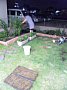 p12440.jpg