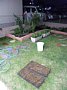 p12441.jpg