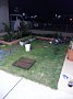 p12443.jpg