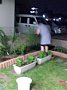p12445.jpg