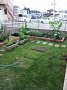 p12461.jpg
