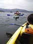 p12501.jpg