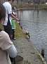 p12509.jpg