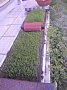 p12533.jpg