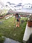 p12576.jpg