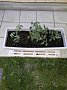 p12580.jpg