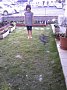p12581.jpg