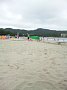 p12623.jpg