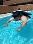 p12642.jpg