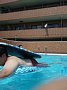 p12643.jpg