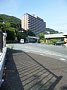p12646.jpg