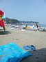 p12659.jpg
