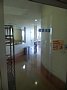 p12817.jpg