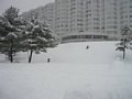 p13002.jpg