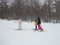p13058.jpg
