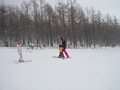 p13060.jpg