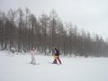p13061.jpg