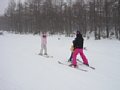 p13063.jpg