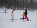 p13065.jpg