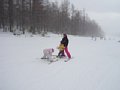 p13067.jpg
