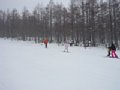 p13068.jpg