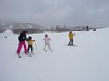 p13078.jpg
