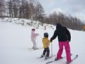 p13081.jpg