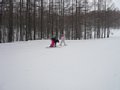 p13082.jpg