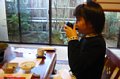 p13161.jpg