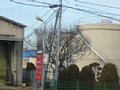 p13264.jpg