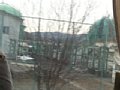 p13298.jpg