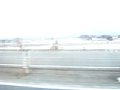 p13307.jpg