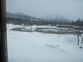p13454.jpg