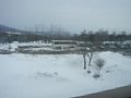 p13455.jpg