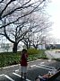 p13474.jpg