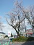 p13479.jpg
