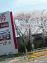 p13492.jpg