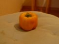 p13530.jpg