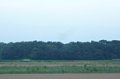 p13542.jpg
