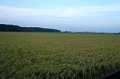 p13550.jpg