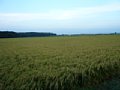 p13551.jpg