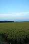 p13556.jpg