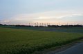 p13561.jpg