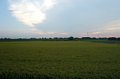 p13565.jpg