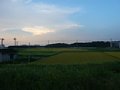 p13581.jpg